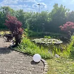 Stengel * Schotten
